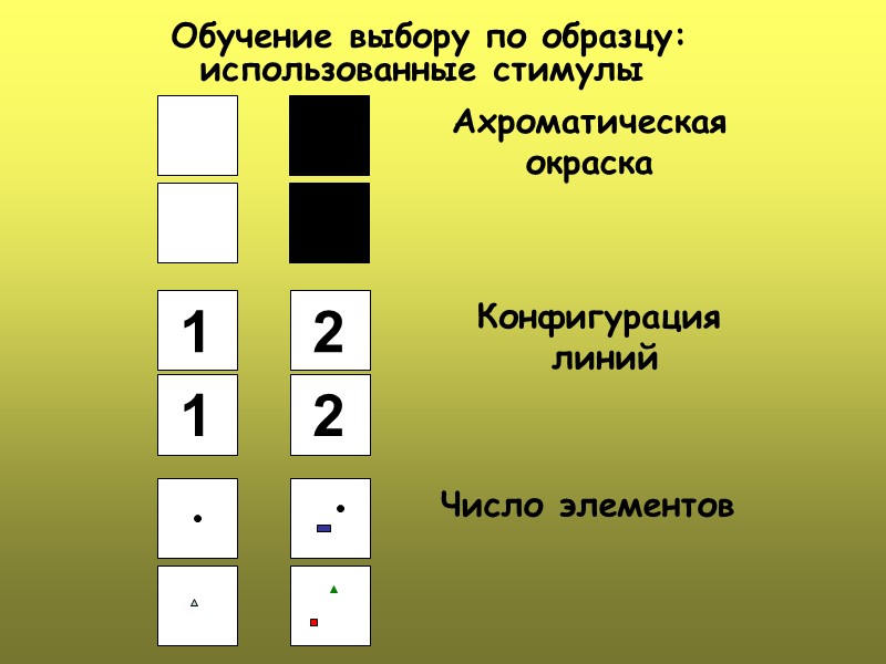 Конфигурация  линий  Число элементов Ахроматическая окраска   Обучение выбору по образцу: